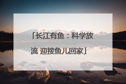 长江有鱼：科学放流 迎接鱼儿回家